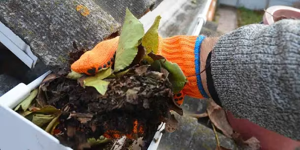 Gutter cleaning in Bristol with leaves and debris being removed