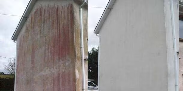 Exterior render wall before and after soft washing in Bristol
